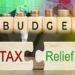 Salaried class, businesses to get relief in next budget