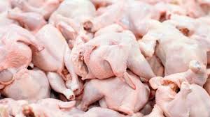 PFA eliminates massive stock of dead chicken