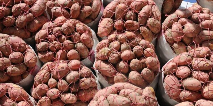 Kazakhstan seeks to Import 50000 tonnes of Potatoes from Pakistan