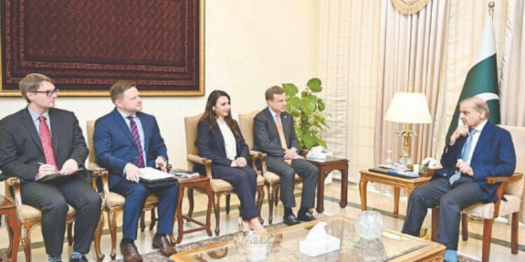 US and Pakistan discuss mineral sector growth opportunities