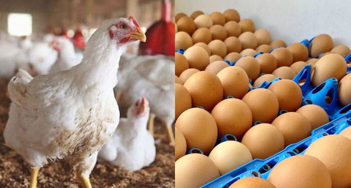 Poultry and meat prices increase across the country