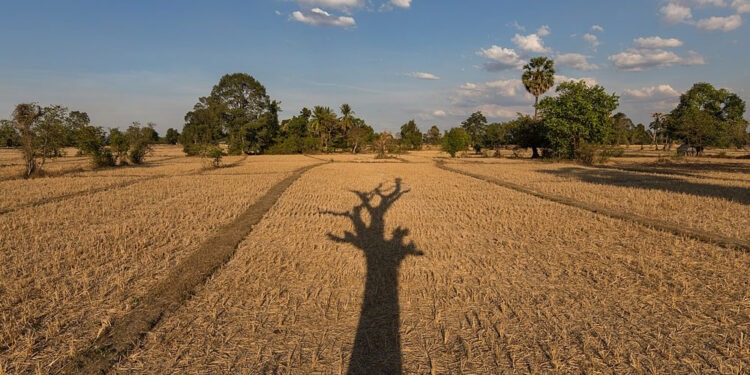 PMD forecasts dry weather across Pakistan