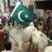 Pakistanis likely to get six holidays on Eid-ul-Adha