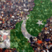 Pakistan’s population is likely to reach 39 crore by 2050