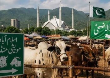 Islamabad opens special livestock markets for Eid